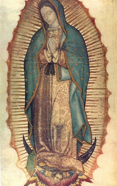 What Is The Message On Our Lady Of Guadalupes Mantle Get Fed™