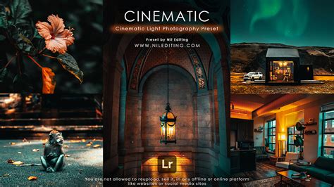 Cinematic Light Preset Free Download Lightroom Mobile Nil Editing