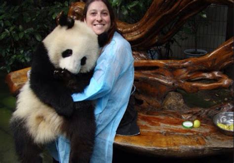 Abrazar A Un Panda Pandas Panda Abrazo