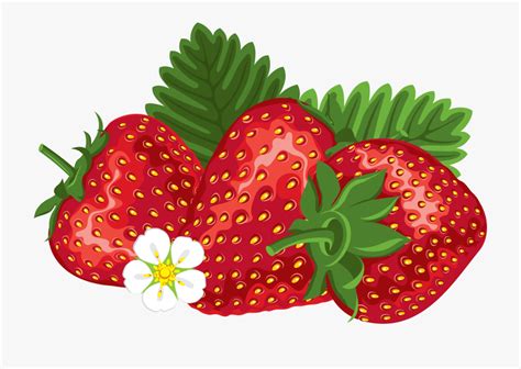 Free Strawberry Clipart Clip Art Pictures On Cliparts Pub 2020 🔝