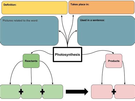 Photosynthesis Diagram Quizlet