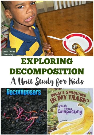 Feb 27, 2014 · we have been studying decomposition. STEM for Homeschoolers: Decomposition Lesson Ideas