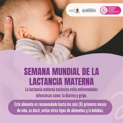 Semana Mundial De La Lactancia Materna Mancomunidad La Serrania The