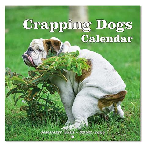 Buy 2022 2023 Wall Calendar 18 Monthly Pooping Dogs Calendar 2022