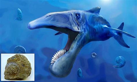Mysterious Fossil Of A Giant Prehistoric Fish With Circular Saw Shaped