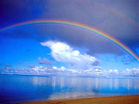 Rainbow Above Beach Wallpapers Hd Desktop And Mobile