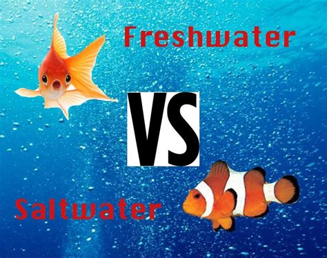 The Difference Between Salt And Fresh Water Animals Water Animals