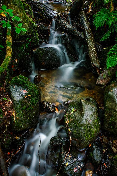 Waterfall In The Woods Photograph By David Mcalpine