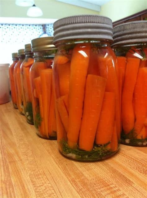 Combine the carrot, cornmeal, oil, water, syrup, salt and cinnamon. Dill Carrots | Dill carrots, Healthy alternatives, Snack ...