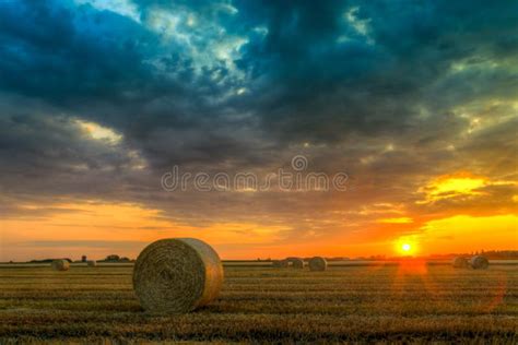 Hay Stacks In Green Field Stock Image Image Of Field 27823675