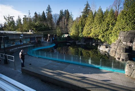 Located in the heart of stanley park, only minutes from downtown. Deaths of two beluga whales at Vancouver Aquarium remains ...