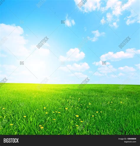 Green Grass Blue Sunny Image And Photo Free Trial Bigstock