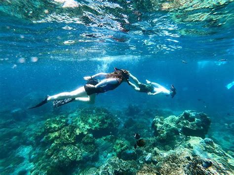 4 Spot Snorkeling Terbaik Di Nusa Penida Tour Populer 2024