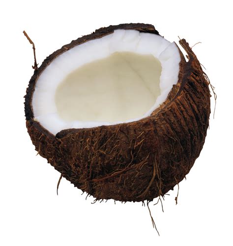 Fresh Green Coconut Png Photos Png Mart