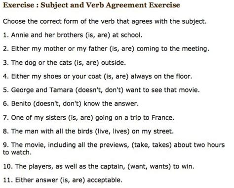 Subject Verb Agreement Exercises Hot Sex Picture