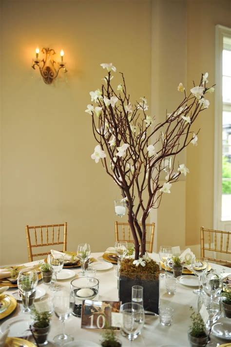 Tree Branch Centerpieces Ideas Fresno Weddings Fresno Wedding