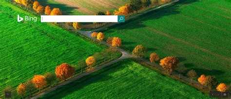 Der November Auf Bing Bing Blog Germany