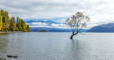 The Ultimate New Zealand Travel Guide Earth Trekkers