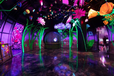 How Meow Wolf Is Reinventing Immersive Arts During A Pandemic