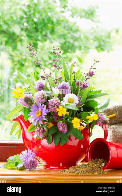 Red Teapot With Bouquet Of Healing Herbs And Flowers On Windowsill