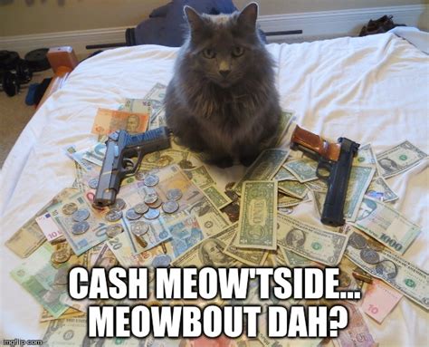 Image Tagged In Catscash Me Ousside How Bow Dah Imgflip