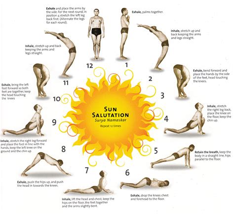 The sanskrit pose names are commonly written without the special characters this list includes all poses of sun salutation a and sun salutation b with the correct sanskrit writing What Are The Benefits Of Surya Namaskar? - Transformelle