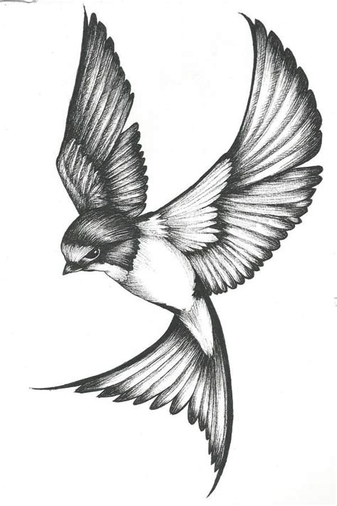 Https://techalive.net/tattoo/bird Tattoo Design Drawing
