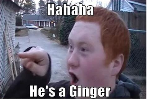 [image 133024] gingers do have souls know your meme