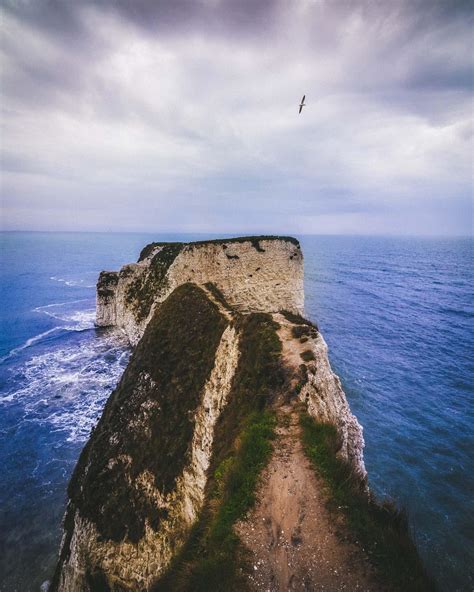 Old Harry Rocks 65 Million Years Old Epic Cliffs