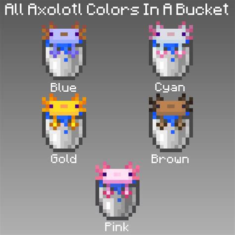 Made Every Axolotl Colors In A Bucket Minecraft