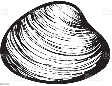 Check spelling or type a new query. Black And White Clam Shell Woodcut Sketch Stock ...