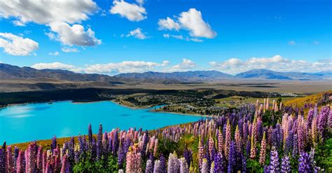 Nuova Zelanda Quando Andare E Cosa Vedere