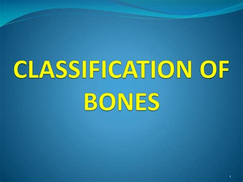 Ppt Classification Of Bones Powerpoint Presentation Free Download