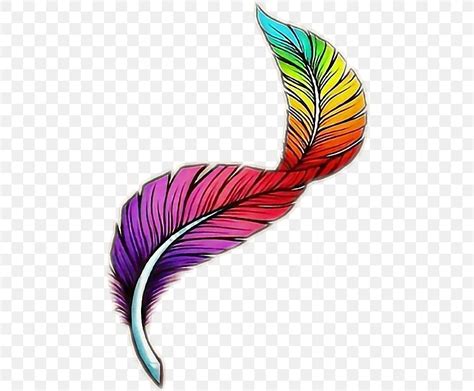 Cartoon Drawing Color Plume Feather Png 458x678px Cartoon Color