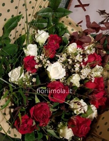 Ideale per san valentino, per gli anniversari o per dichiarare il le rose rosse però non sono fiori da regalare solo in contesti amorosi ma anche in amicizia, in occasione della festa della mamma o di un compleanno. Mazzo con rose rosse e rose bianche » Consegna fiori a Imola, invio fiori e piante a domicilio a ...