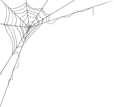 Spider Web Portable Network Graphics Vector Graphics Image Spider Png