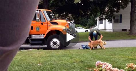 Highly specialized animals or plants are more likely to become endangered or extinct since they are not flexible at all in their living conditions. Garbage man secretly filmed approaching dog - Video shows ...