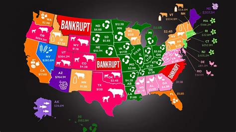 States With The Most Farm Bankruptcies Youtube