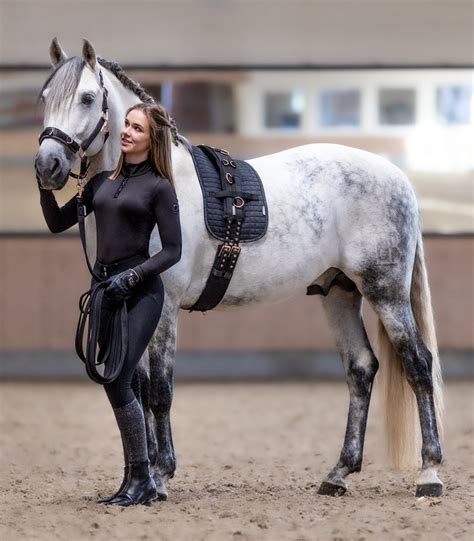 Waldhausen Lunging Surcingle Roségold Horse And Rider Shop De Kroo
