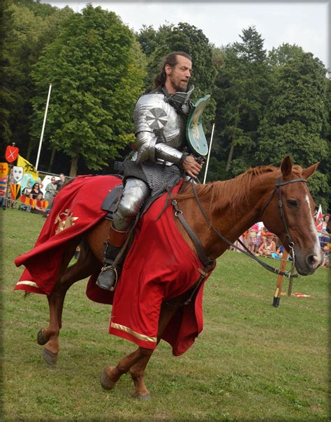 Knight Show Set 214 Free Stock Photo Public Domain Pictures