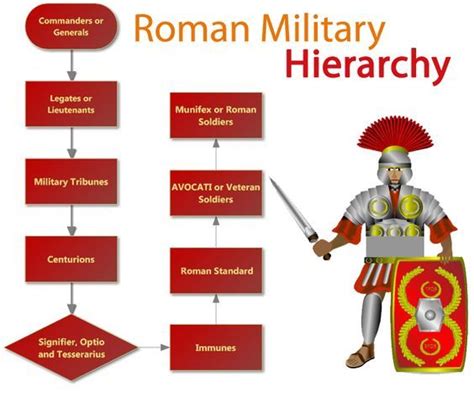 Roman Military Hierarchy Roman Soldiers Roman History Roman Legion