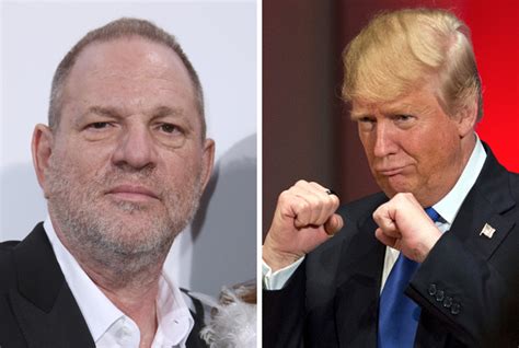 harvey weinstein on trump country is sick and tired of the divisiveness in d c