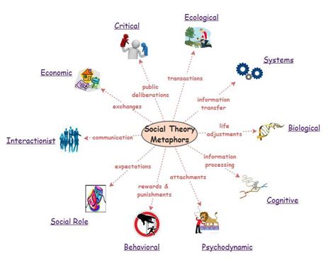 According To Social Role Theory Which Of The Following