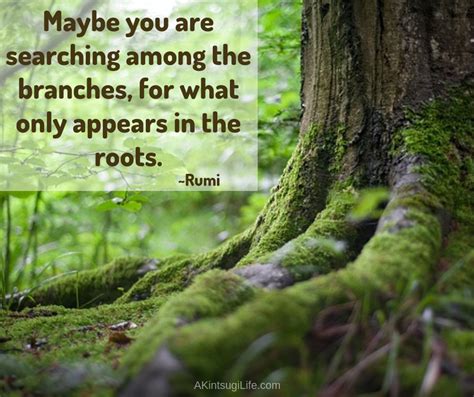 Searching Among The Roots Roots Inspirational Quotes Search