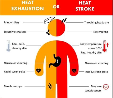 Do You Know The Difference Between Heat Exhaustion And Heatstroke DiscoverAirdrie Local