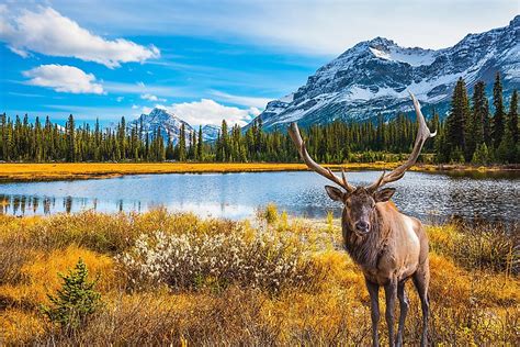 Best Places To Visit In Canada Worldatlas