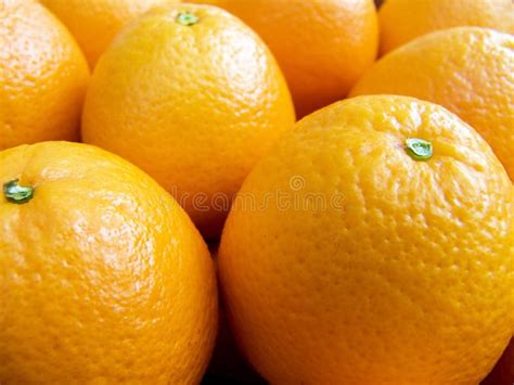 Oranges On A Counter Macro Stock Photo Image Of Eatable 16756208