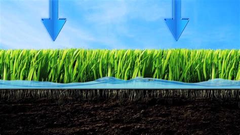 Keep it properly hydrated and encourage deep root growth with a watering schedule of twice a week at the most. Be Water Smart - Lawn Watering Tips - YouTube