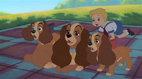 Lady And The Tramp Ii Scamps Adventure 2001 Disney Screencaps