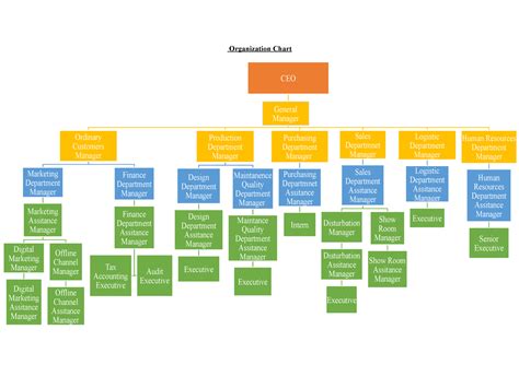 Organizational Chart And Their Roles Organization Chart Ceo Ordinary